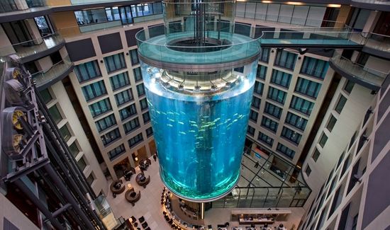 1465802835329264.jpg 4946660320189704616.jpg